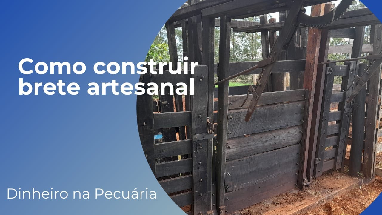 Como construir brete para gado / Brete funcional baixo custo/ Dinheiro na Pecuária