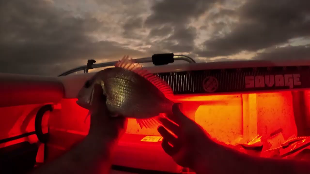 Moreton Bay Catch & Cook Goes Wrong (Motor Failure)