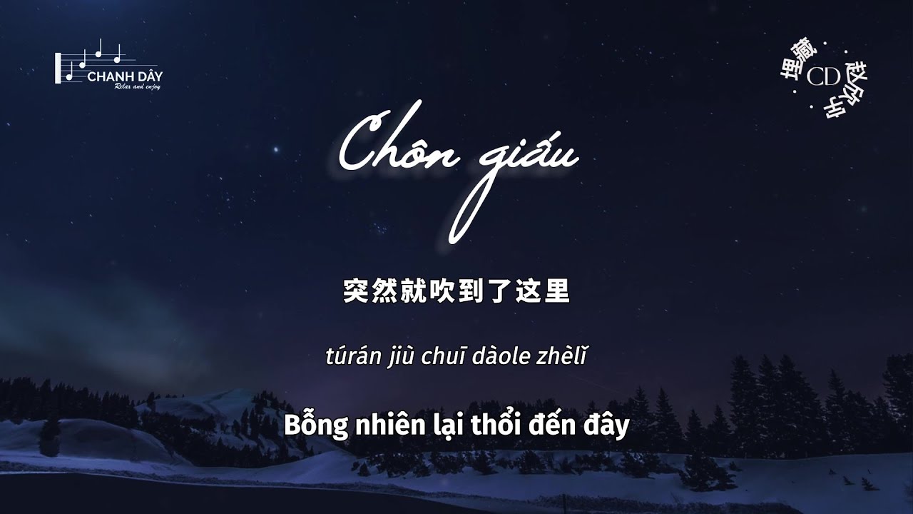 [Vietsub] Chôn giấu (埋藏) - Triệu Hân Vũ (赵欣宇) - Hot Douyin