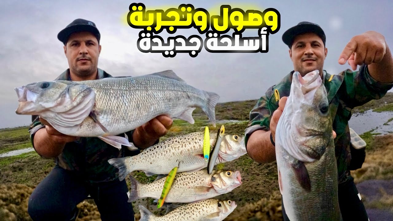 من أول تجربة🔥أثبثت جدارتها بقوة في صيد🎣أجمل أسماك المحيط الدرعي محبوب الرياس🇲🇦