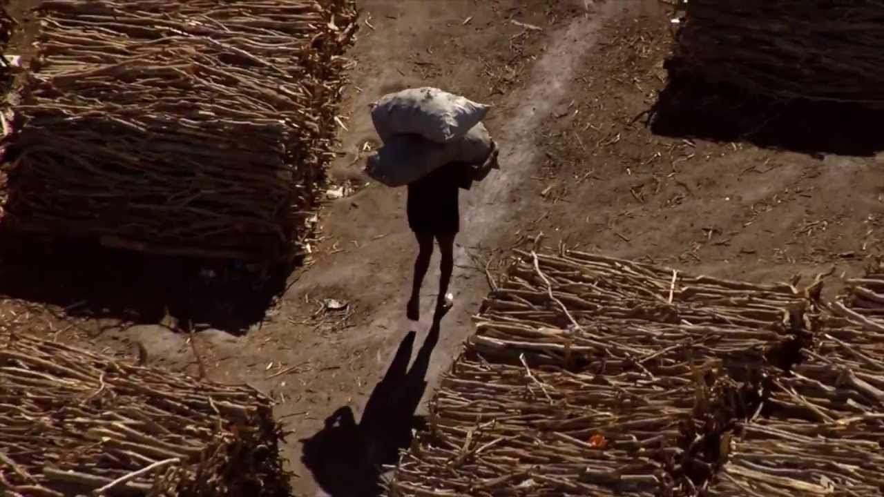 Manu Militari - Pour chaque goutte de pétrole // Videoclip