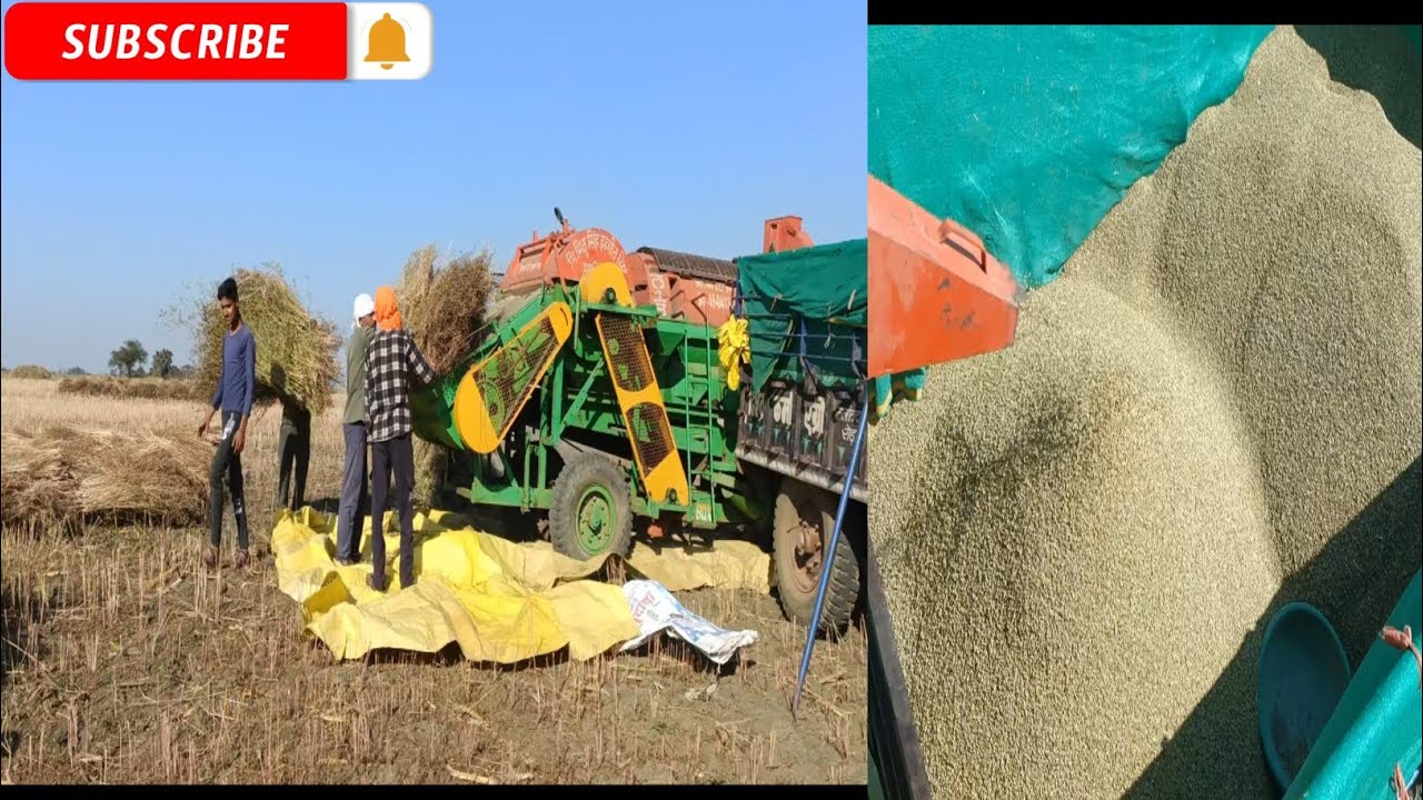 पुन्नी थ्रेसर से धनिया निकल रहे हैं Punni Thresar Se Dhaniya Nikal Rahe Hain