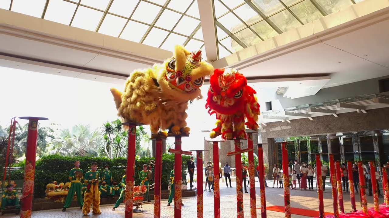 Acrobatic Lion Dance 2022