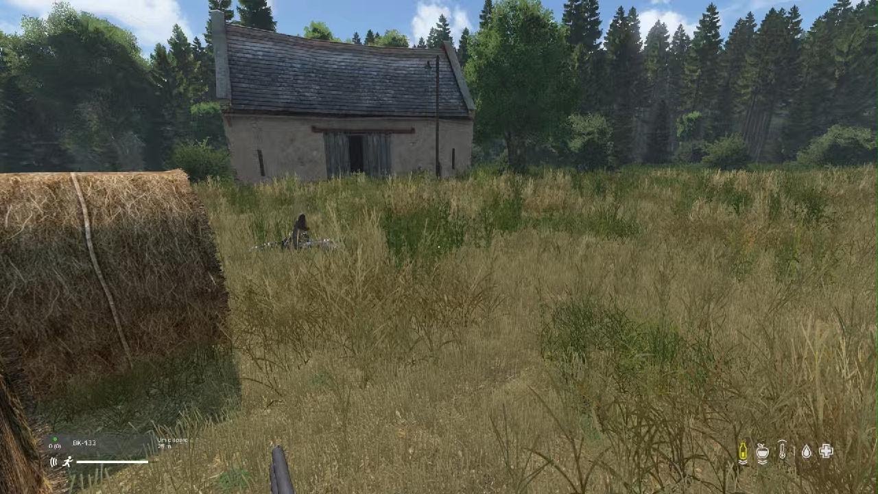 DayZ_20260217111929