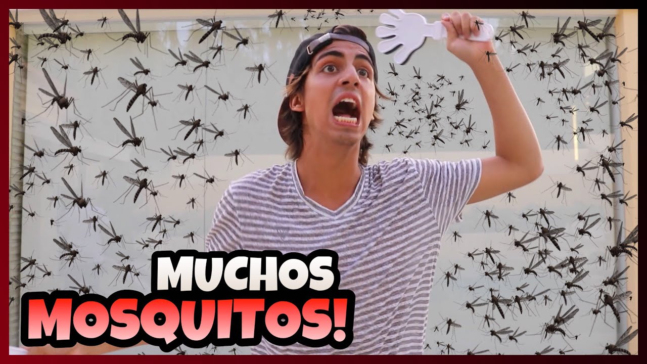 Daniel El Travieso - Los Mosquitos Invadieron Mi Casa.