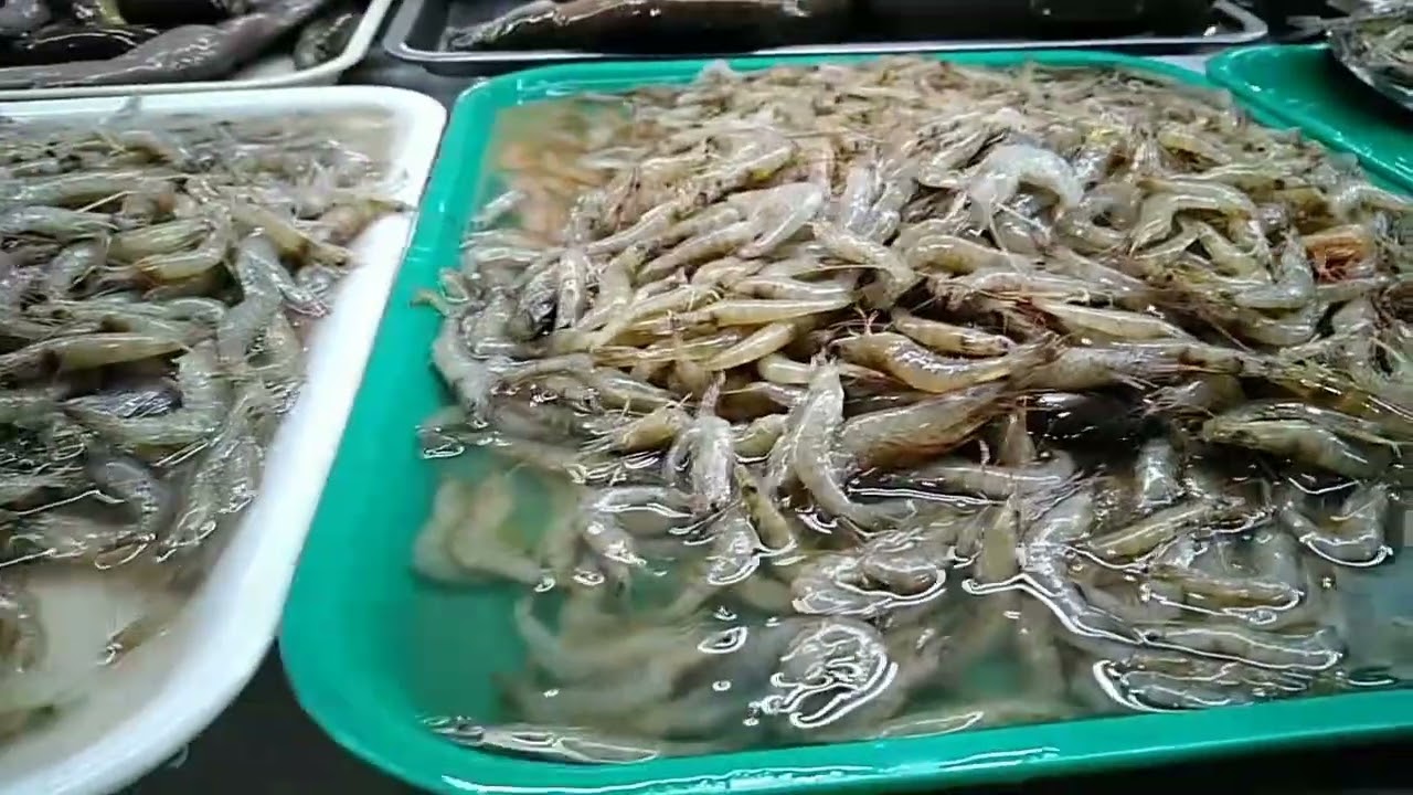 LINGGO NGAYON MAGSISIMBA KAMI /MAGBUBUKID MIX VLOG 
