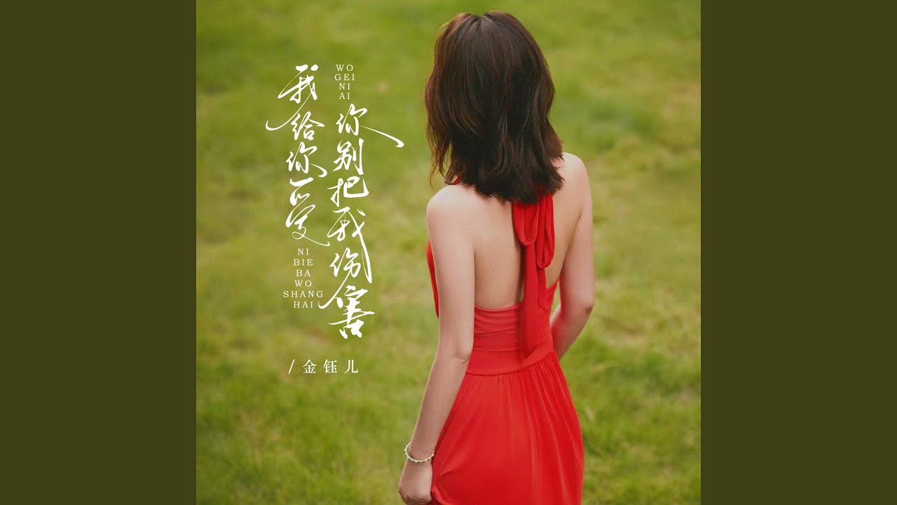 我给你爱你别把我伤害（DJ阿尼版）