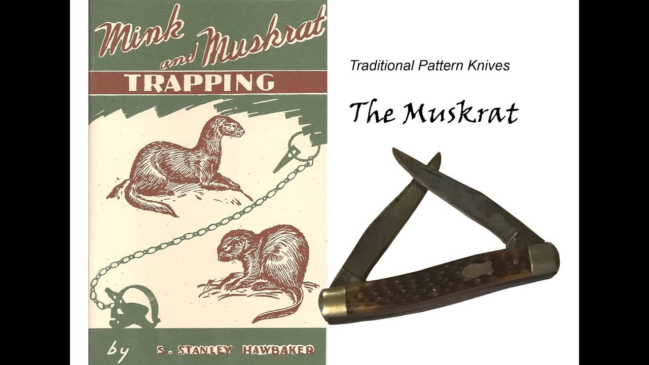 The Muskrat:  A Traditional Pattern Folder