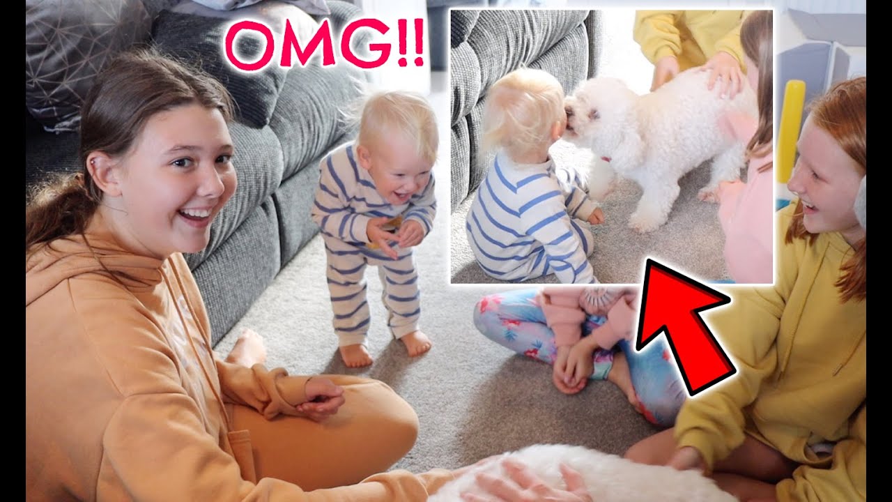 DOGS INCREDIBLE REACTION TO SEEING FAMILY FOR THE FIRST TIME IN 4 MONTHS!!