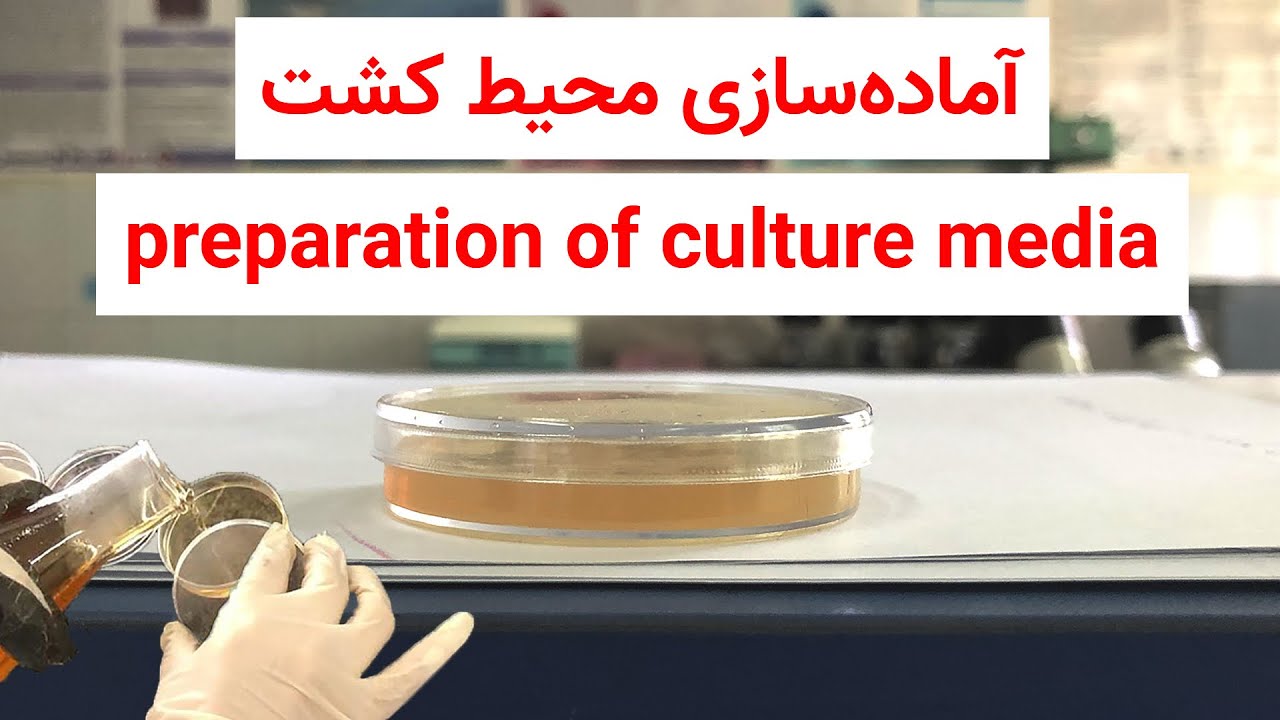 آماده کردن محیط کشت (preparation of culture media )