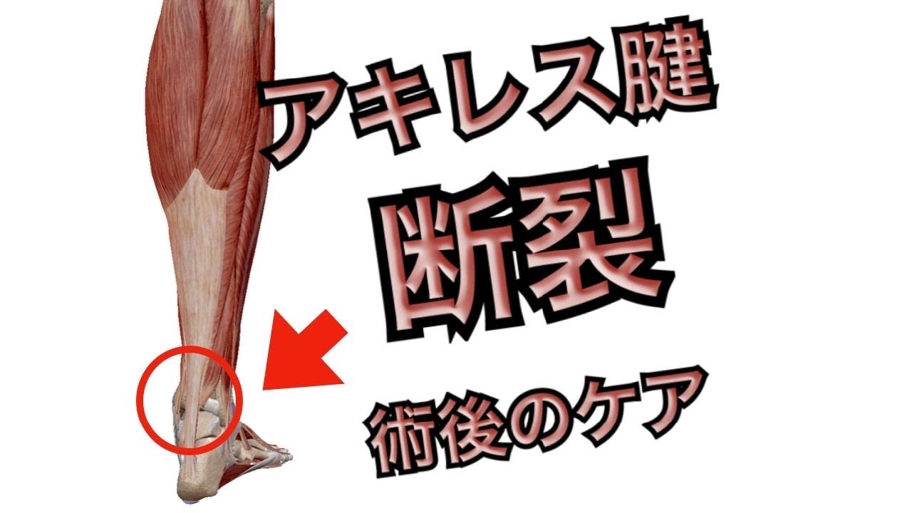 【アキレス腱】1分でできるアキレス腱断裂後の痛み改善のケア　【熊谷市　整体院枇杷-Biwa-】