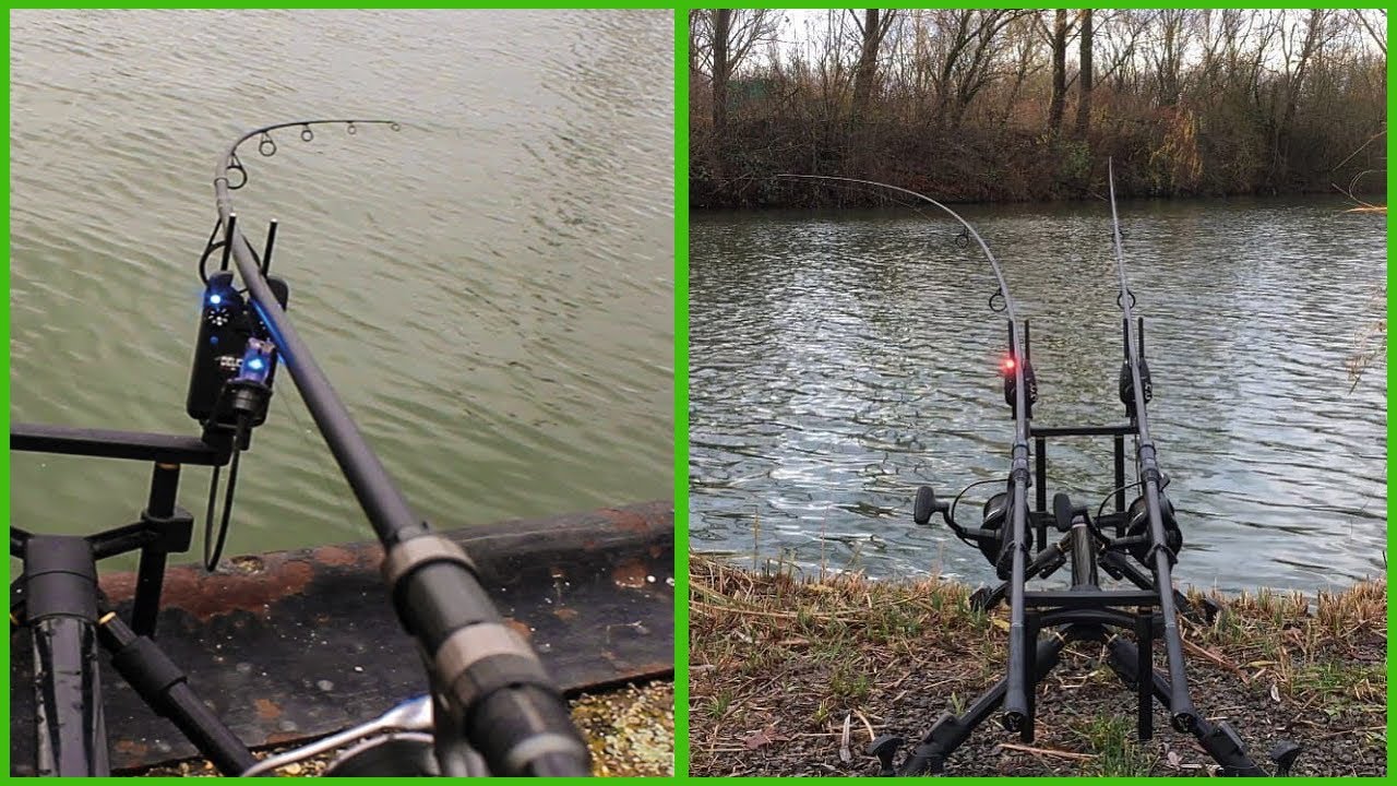 Carp Run COMPILATION 2021! Best carp videos!