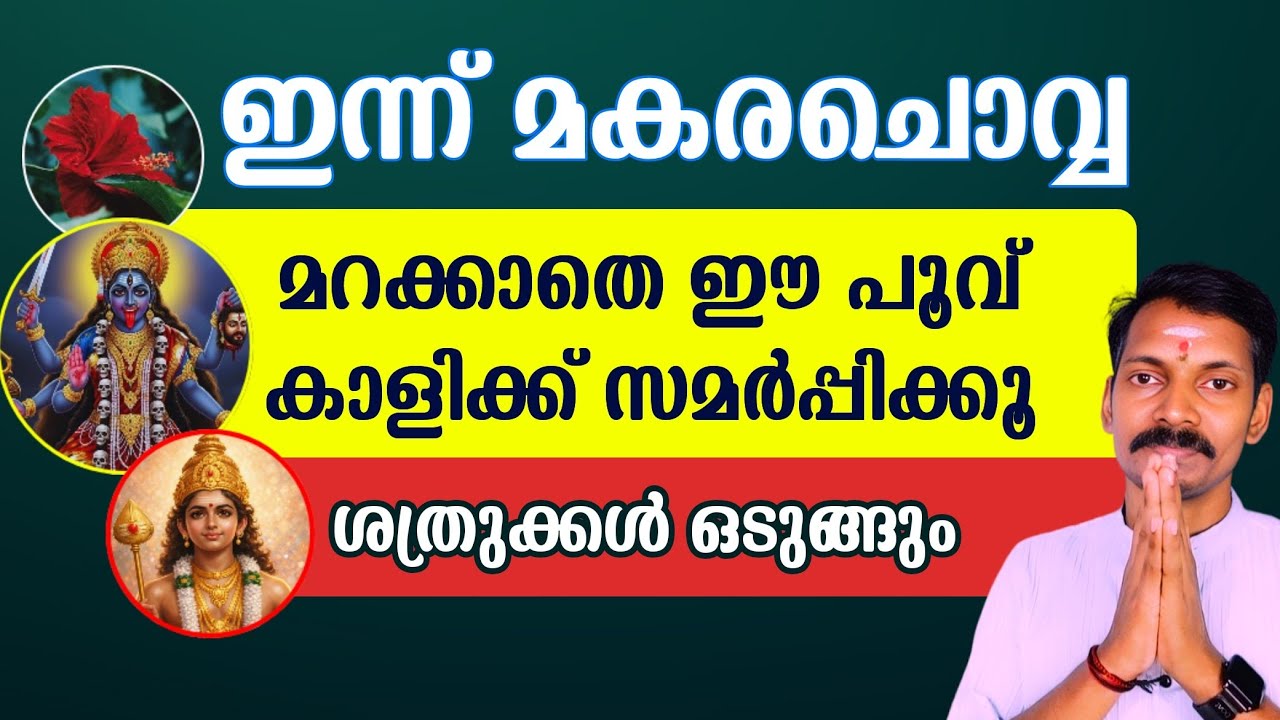 ഇന്ന് മകര ചൊവ്വ. വൈകുന്നേരം വിളക്കിനു മുന്നിൽ ഈ പൂവ് വെച്ച് തൊഴൂ. ജീവിതം രക്ഷപ്പെടും.