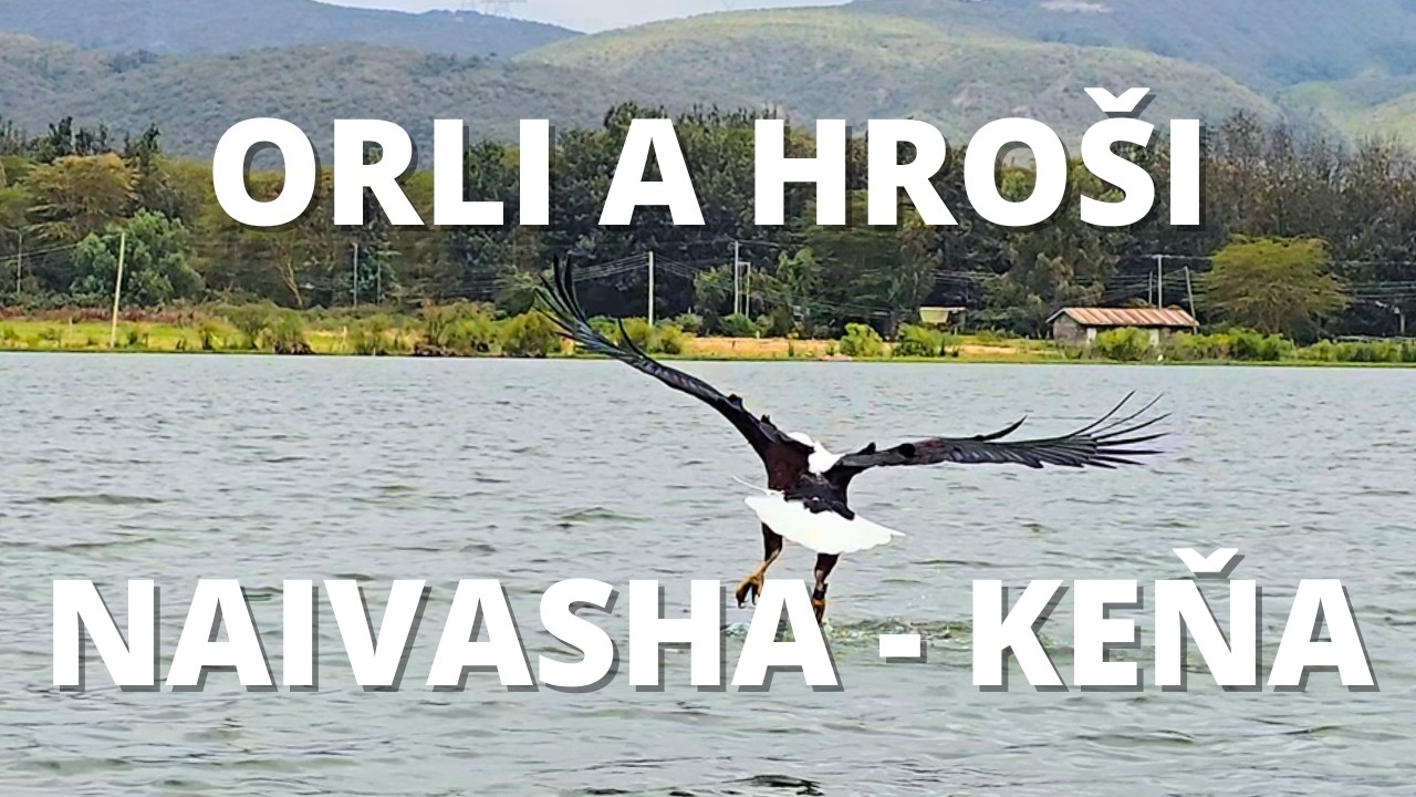Návrat z Crescent Island: Orli a hroši v akci - Keňa