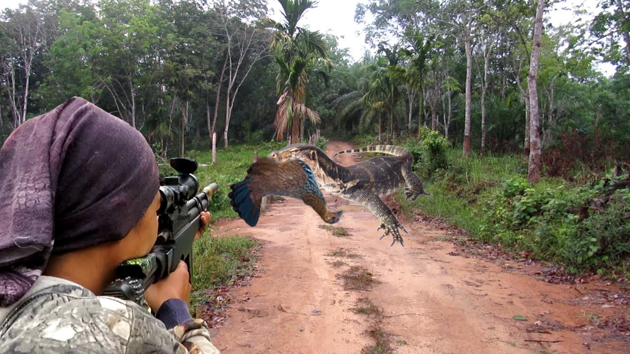 BERBURU BIAWAK NAKAL YANG SERING MENGHABISKAN AYAM WARGA..