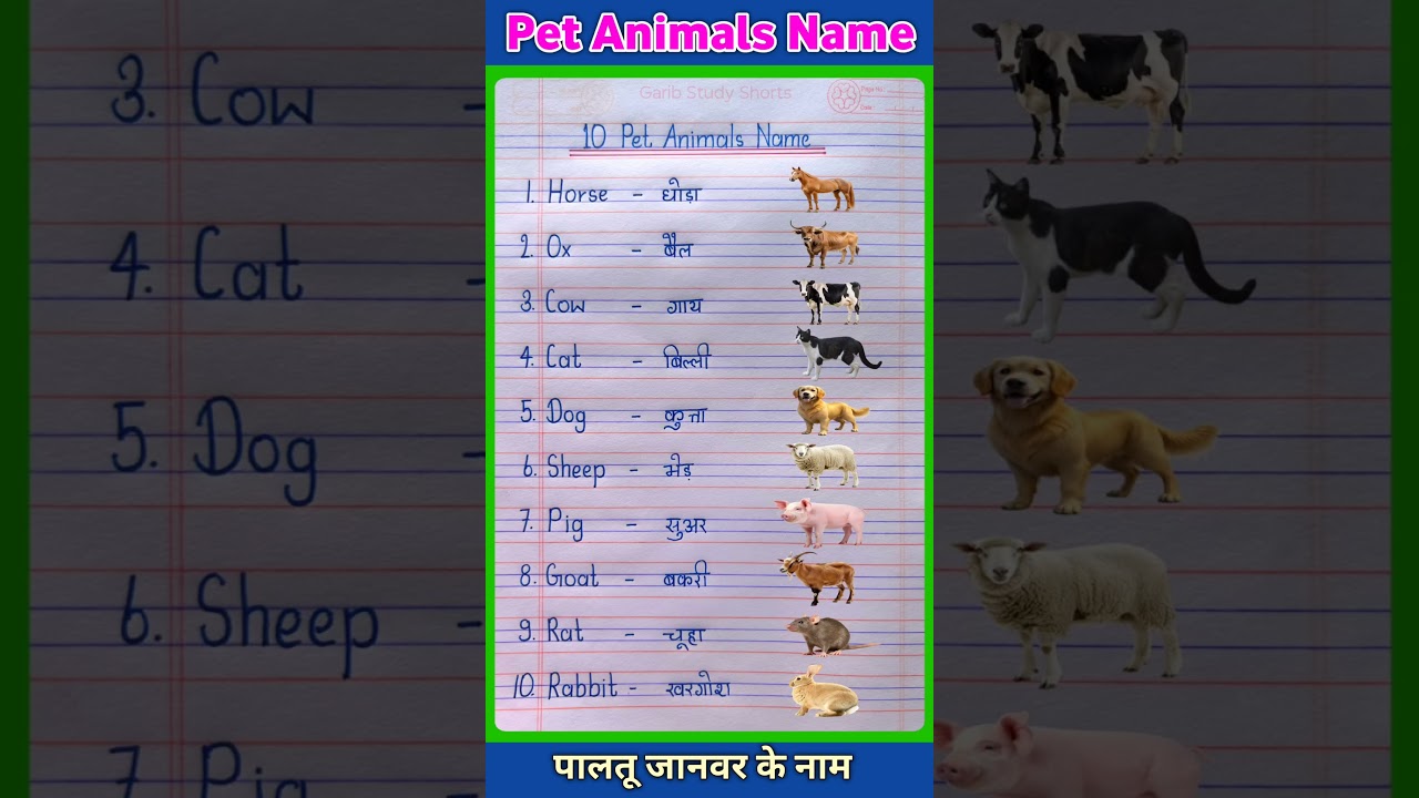 10 Domestic Animals Name in English and Hindi | 10 Pet Animals Name #shorts #words #english #animals