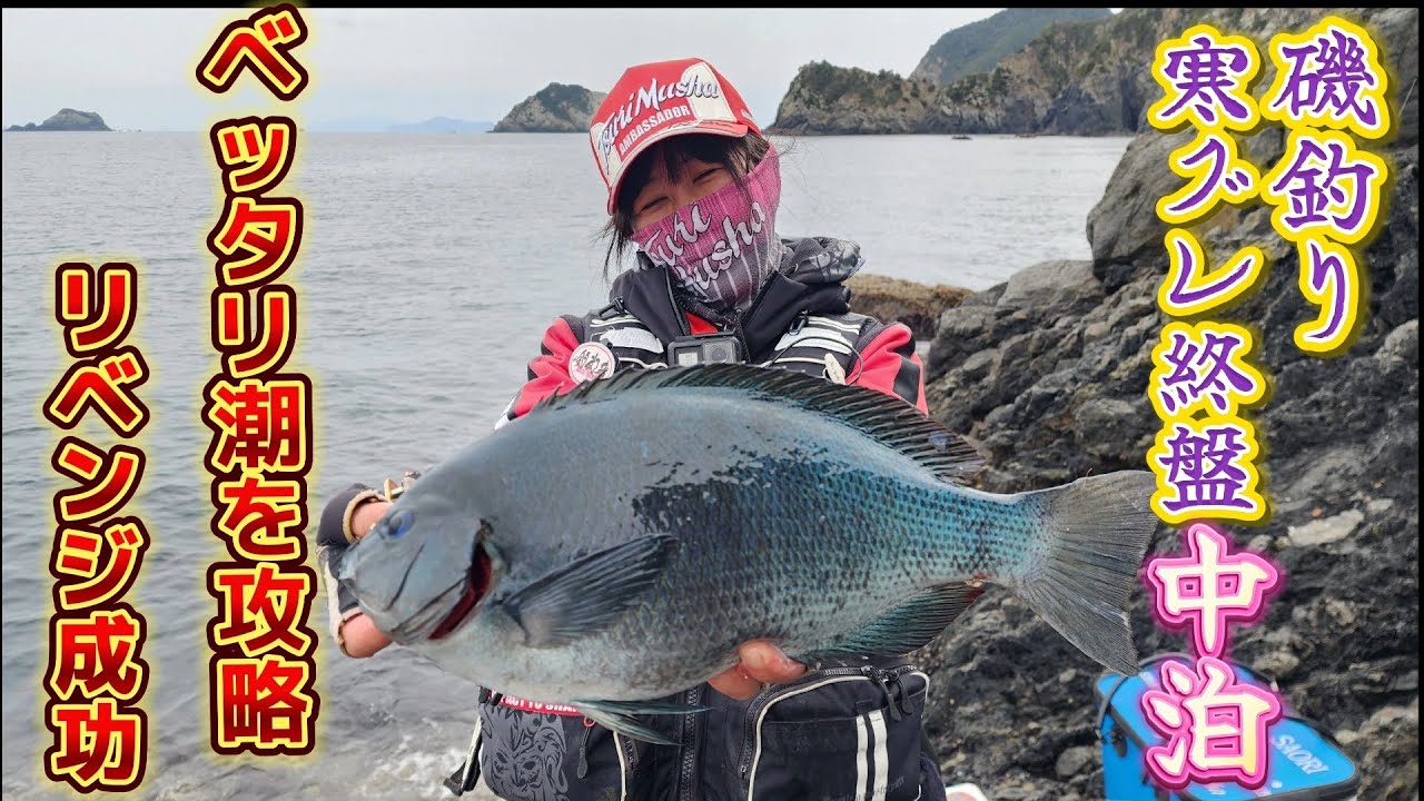 【四国西南部】寒グレ終盤　気合い入れて　いざ　中泊ヘ　やっぱり出た～～‼️＼(^-^)／