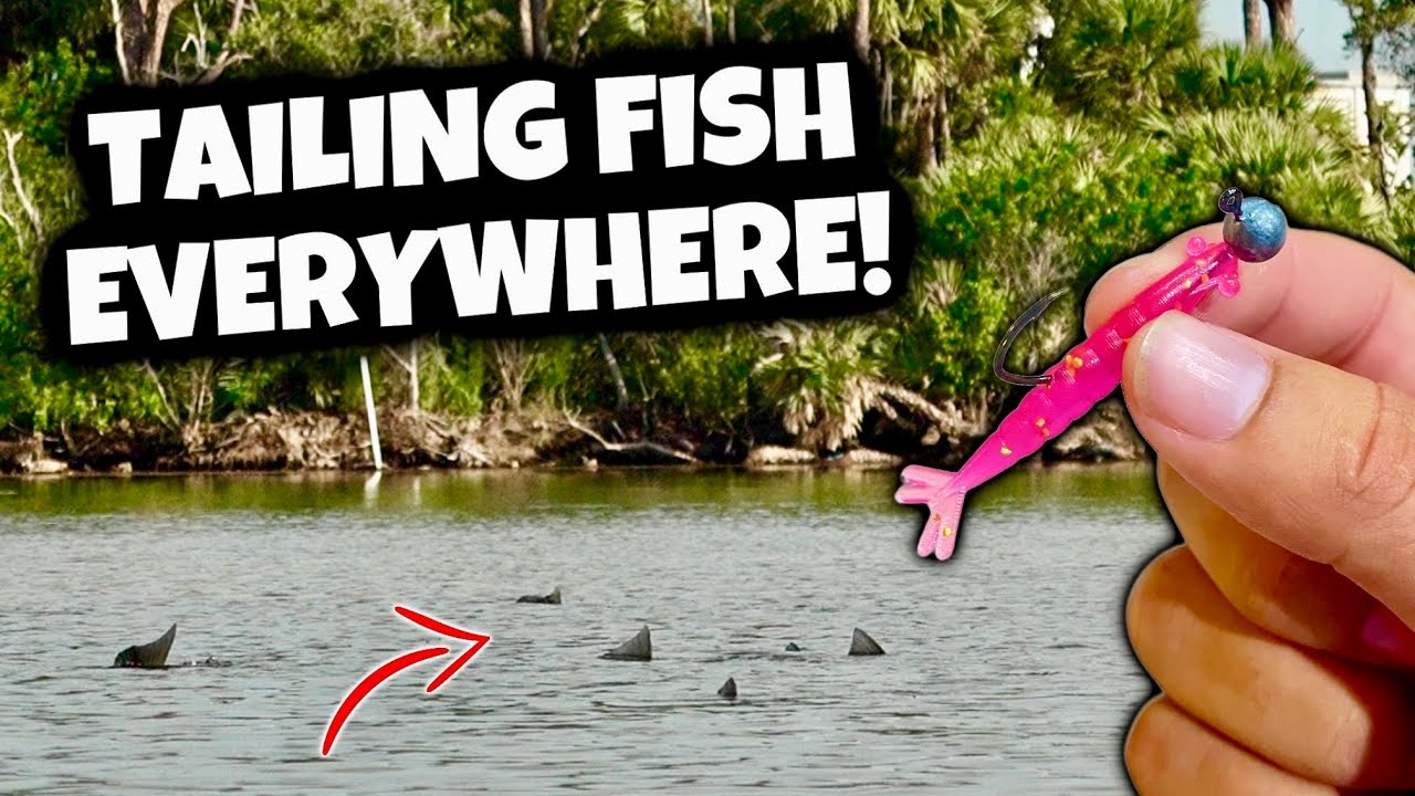 2 Days of INSANE Flats Fishing & SECRET Saltwater Ponds!