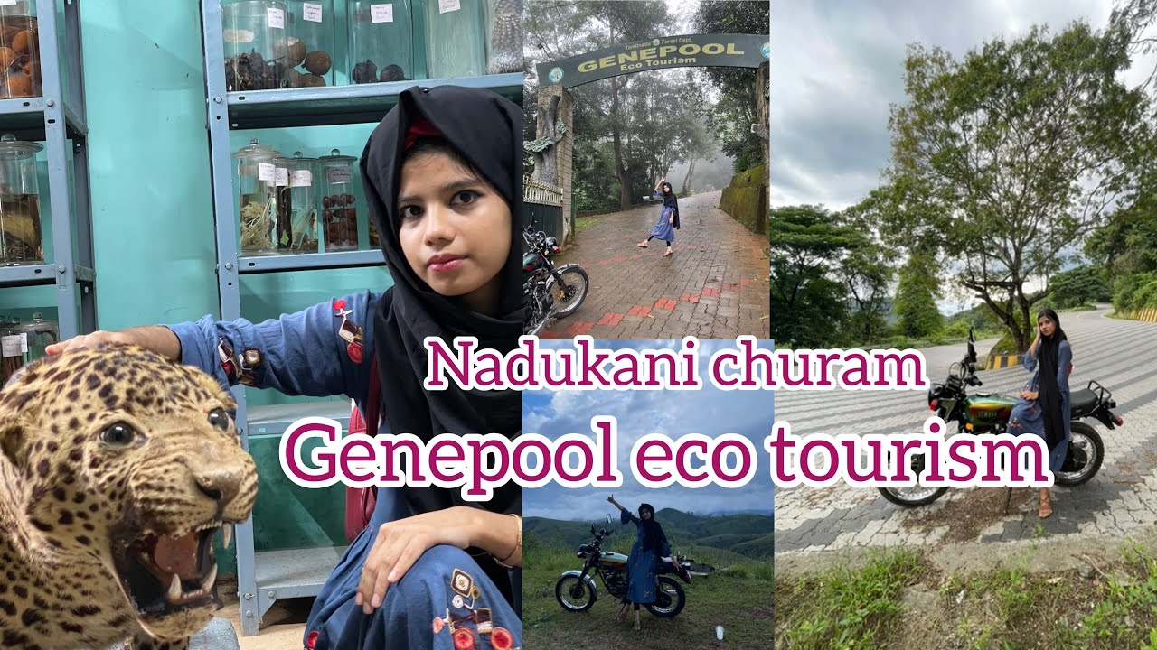 Nadukani churam Genepool eco tourism ❤️‍🔥✨|| shifanachippuz || ✨