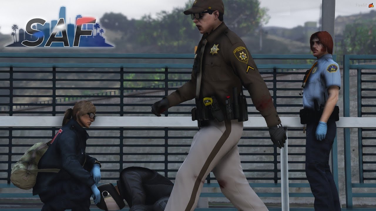 Medic Partners with Glenanne! [GTA RP] - SAF #24