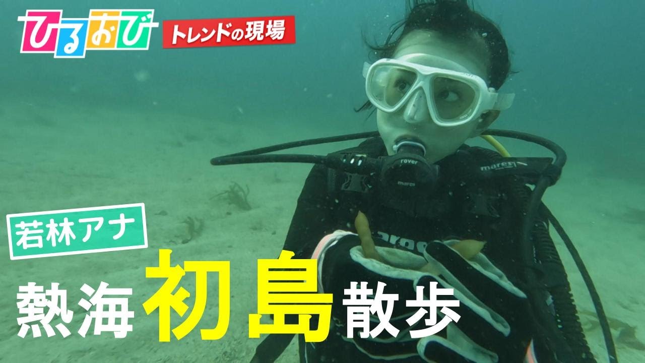 【ひるおび】首都圏からもっとも近い離島！若林有子アナウンサーが「初島」散歩