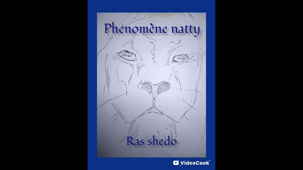 Phénomène natty cd 14 ,exclu cd 1,remasteriser et remixer  ras shedo