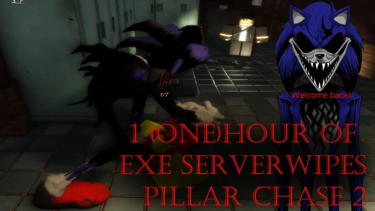 1 Hour of EXE Server Wipes Gameplay | Pillar Chase 2