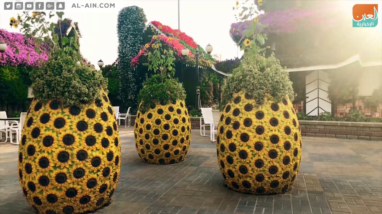 الحديقة المعجزة في دبي