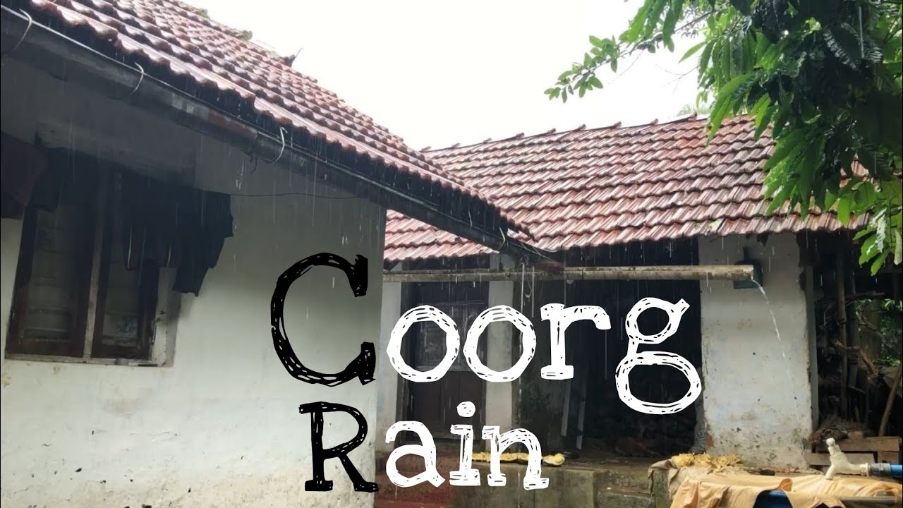 Copyright Free Rain Videos - Relaxing Coorg Rain with Cicadas Music Effect - Village Life