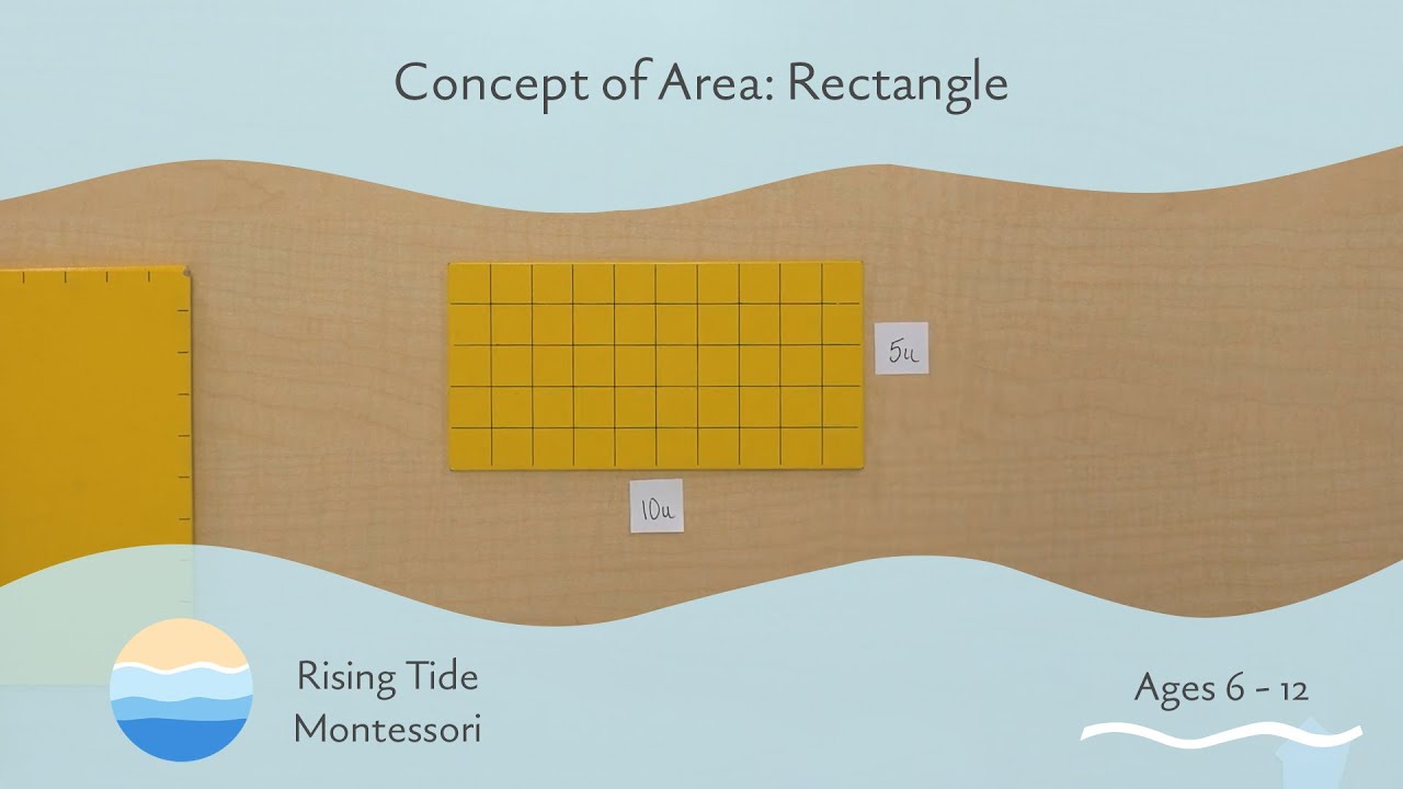 Concept of Area: Rectangle