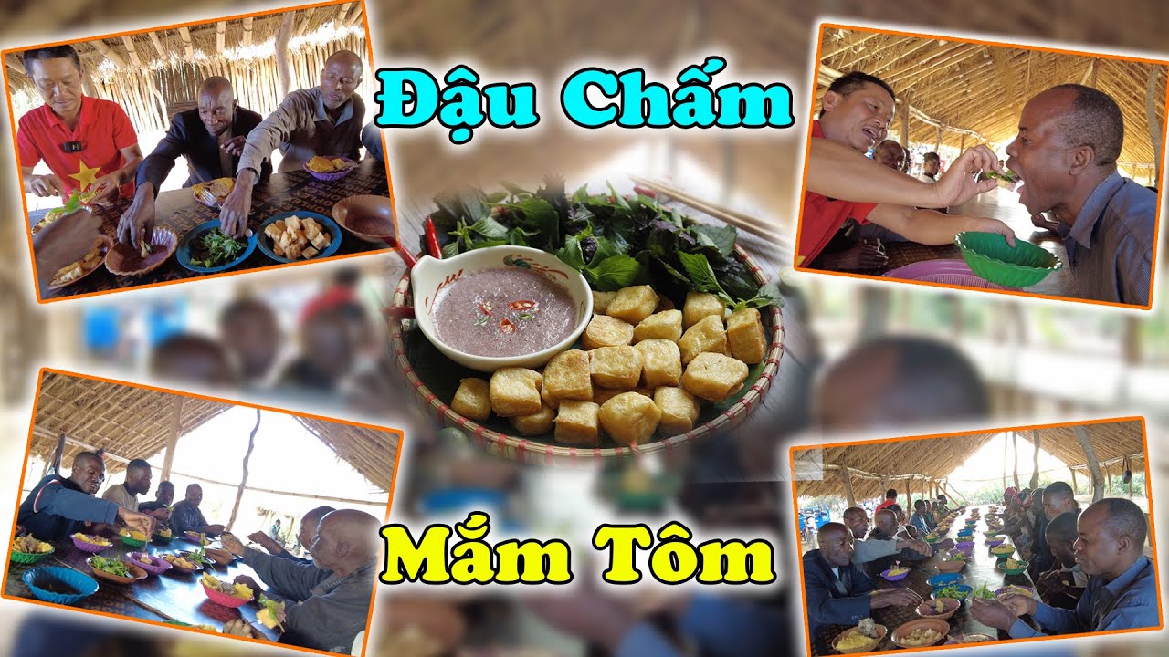 Đậu Chấm Mắm Tôm ! Tuyệt Đỉnh Ẩm Thực Việt Khiến Người Dân Hết Lời Khen Ngợi Vì Quá Ngon !!!