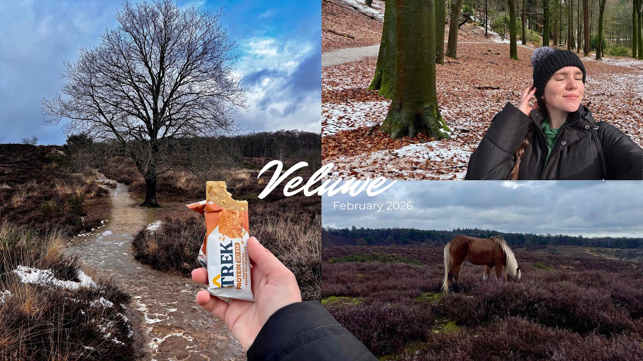 a peaceful solo day in the Veluwe