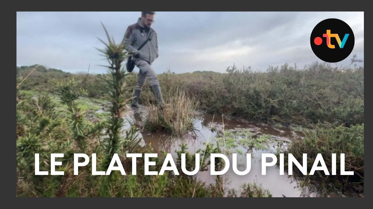 Un nouveau programme pour la R&eacute;serve naturelle du Pinail