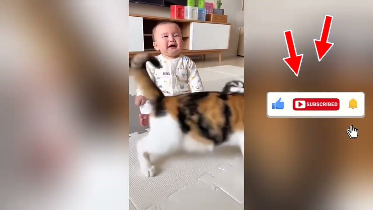 BABY’S FUNNIEST REACTION TO A HUSKY PUPPY — Must Watch!🥰❤️