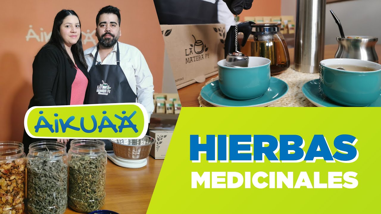 Mezclas e infusiones con hierbas medicinales | Capítulo 16 | Aikuaa