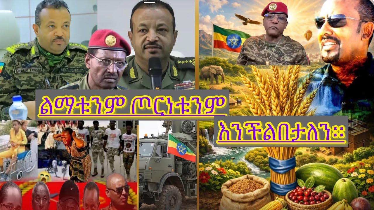 ሻብያ ሳንጀምር በቃኝ አለ መልሱ ሲበቃን እነግራቹሃለን ተብሎአል።የጀዊሳው ሃይል ተዝረክርኮ ተበታትኖአል ።ሸኔ ከምሽጉ ወለጋ ፀድቶአል።