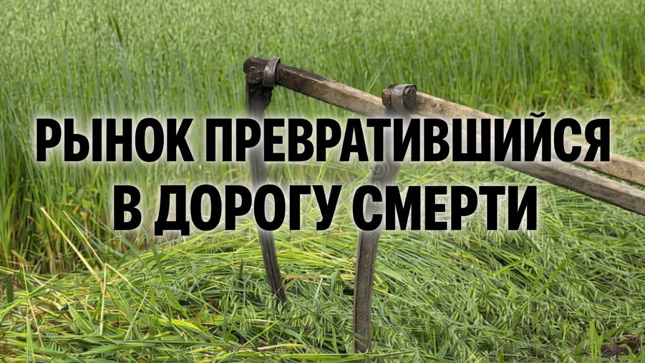 История загадочного сквера в Одессе. 