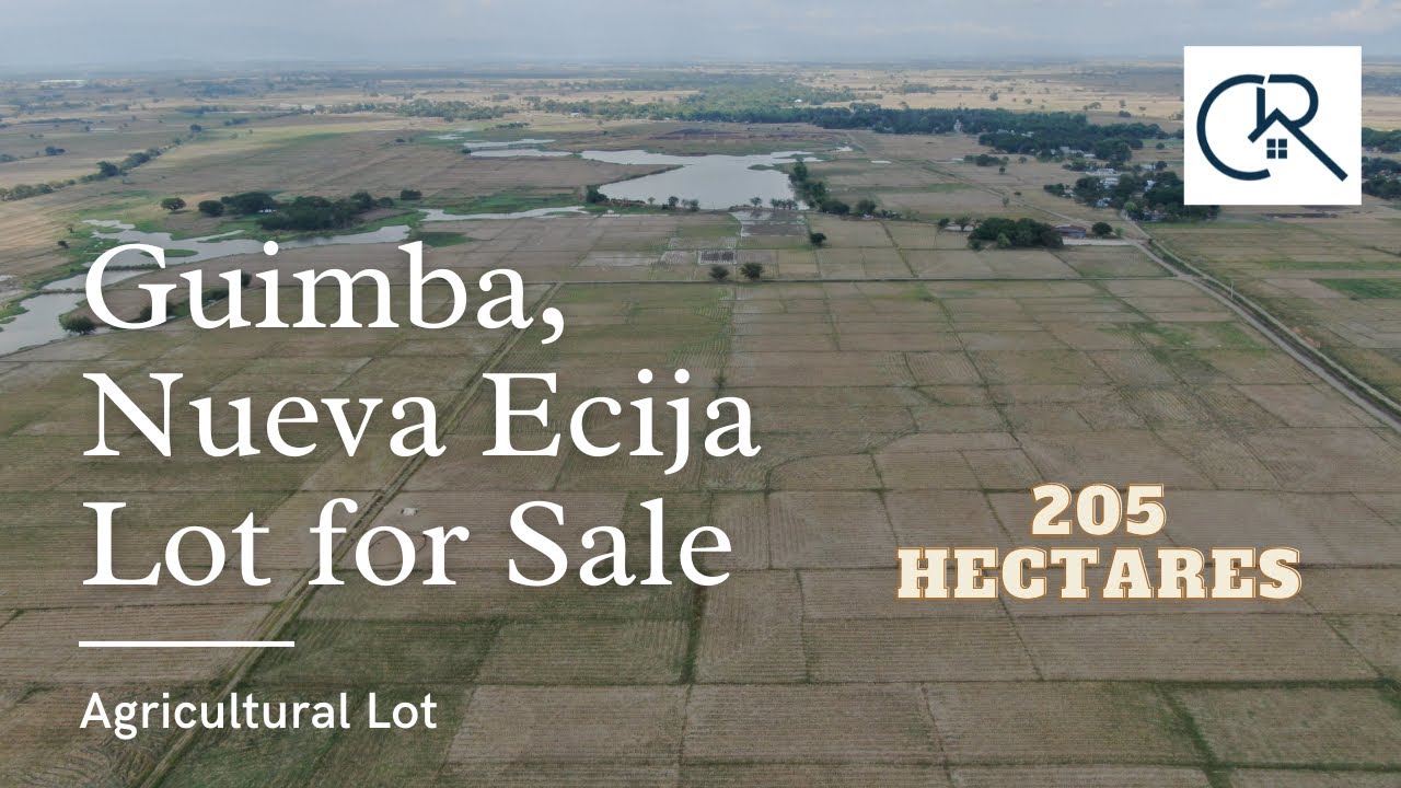 CALIDAD REALTY Property for Sale at GUIMBA, Nueva Ecija