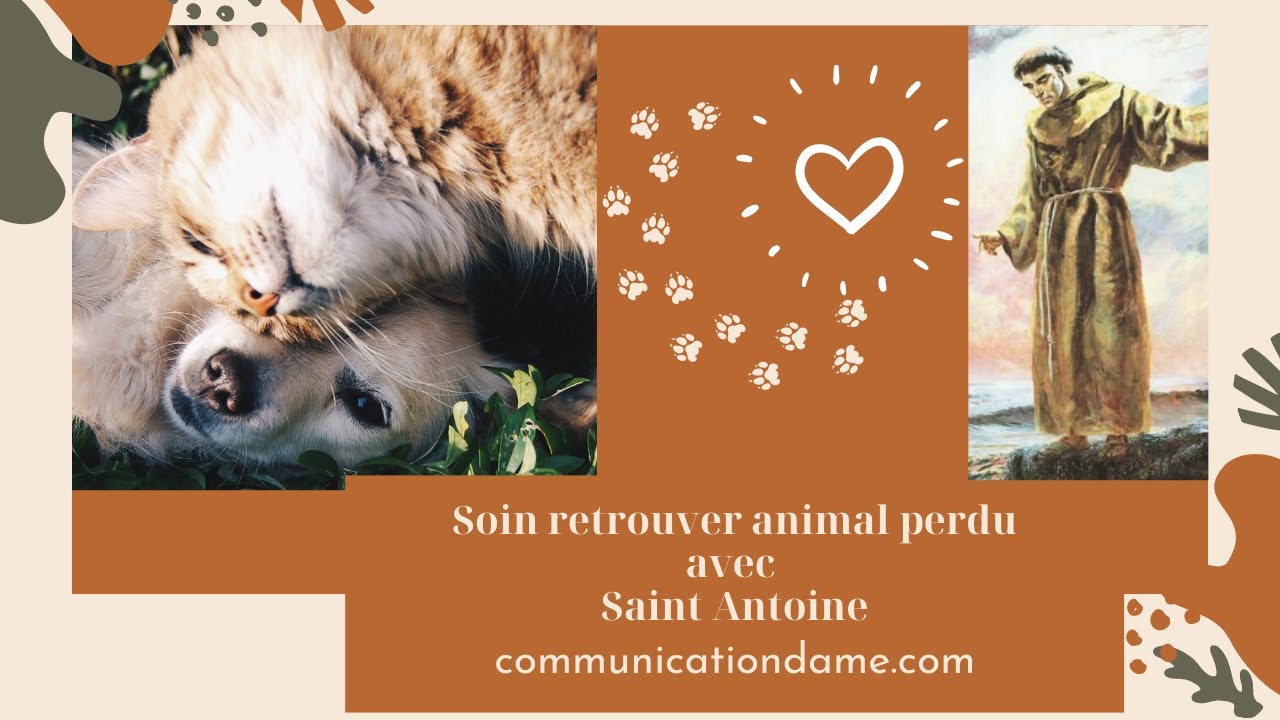 Soin Retrouver Animal Perdu