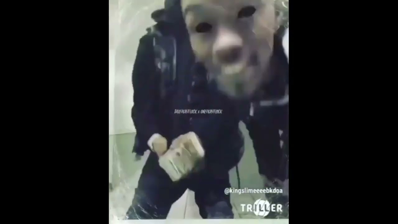 kay flock released/unreleased snippets