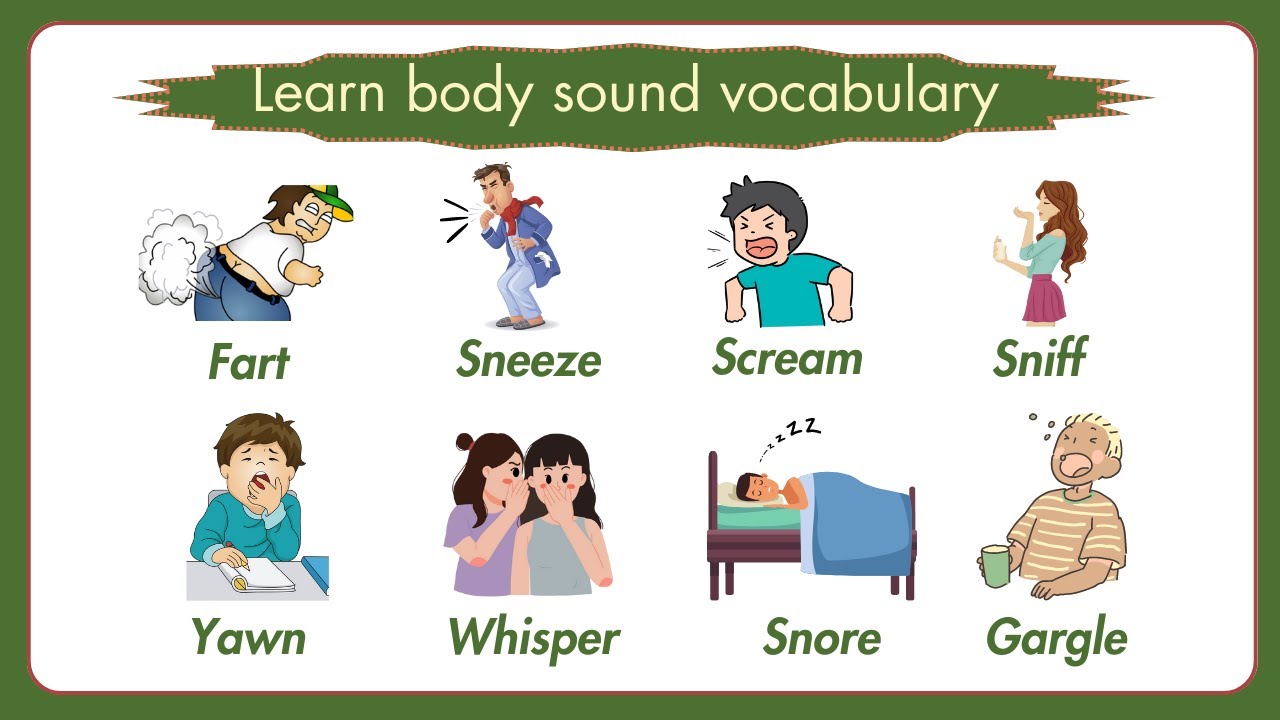 📚 Learn Fascinating Human Body Sounds Vocabulary 💡 Sounds of Human Organs 🔊 English Learning 🎶