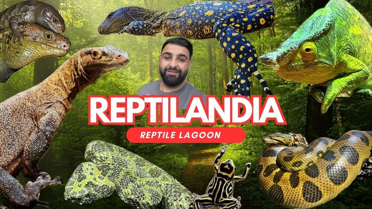 Visiting the BEST reptile zoo in the world with the RAREST and EPIC animals | Reptilandia Lagoon