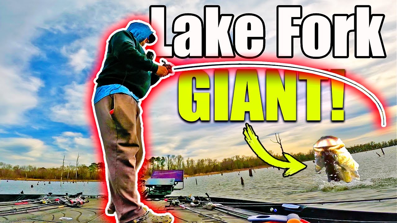 THIS is why you Fish Lake Fork! (TROPHY Catch)