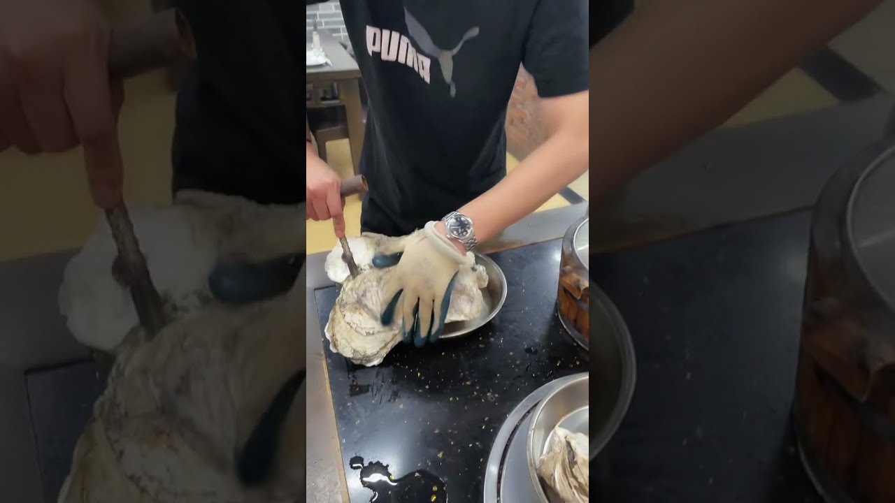 Big Oyster 5