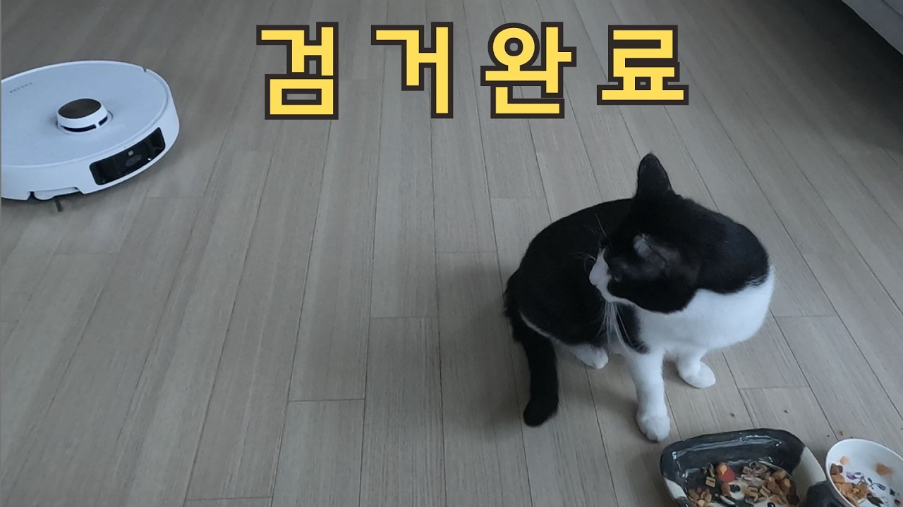 로봇청소기가 되어버린 알바생2