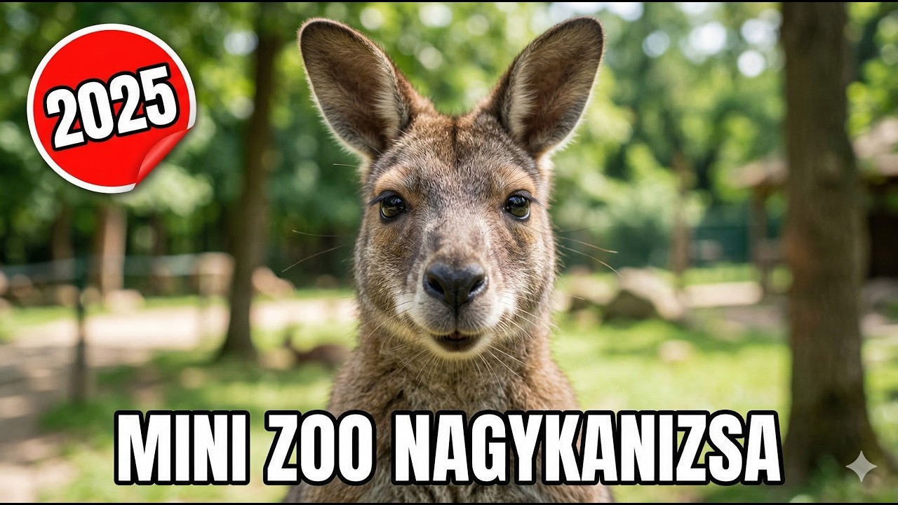 Nagykanizsai Mini Zoo - 2025. augusztus 15.