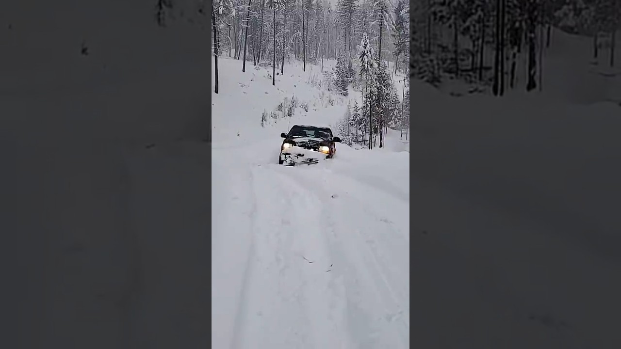 4.3 Vortec 5speed manual 