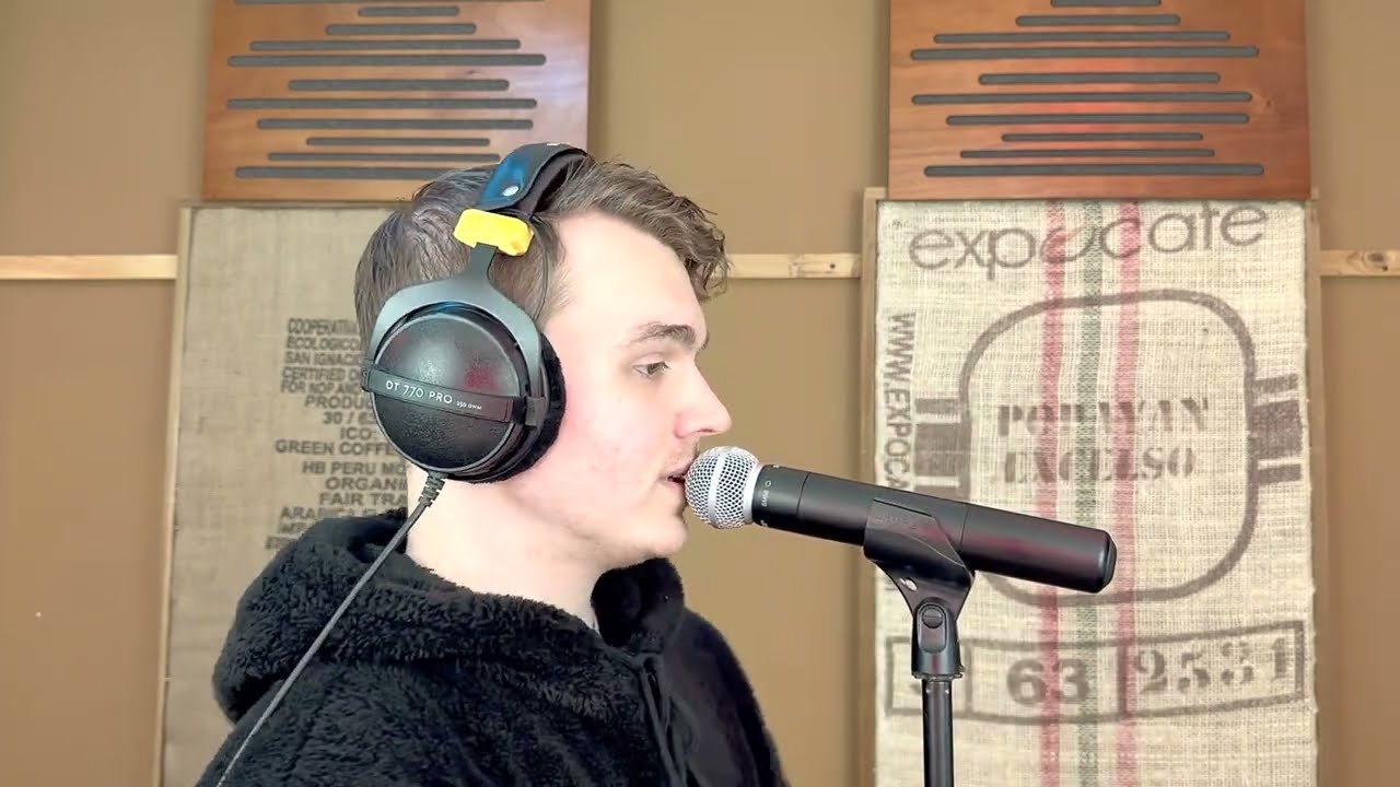 Bring Me the Horizon - Limousine (Vocal Cover)