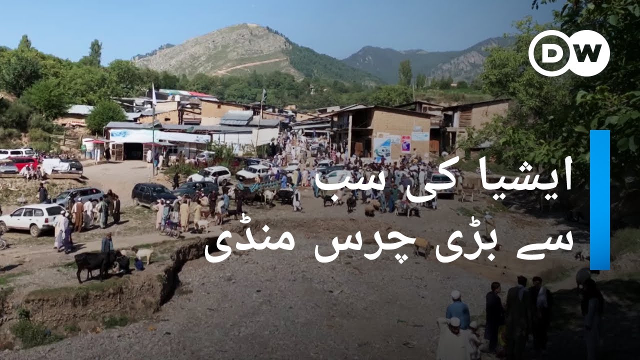 پاکستان میں ایشیا کی سب سے بڑی چرس منڈی | DW Urdu |