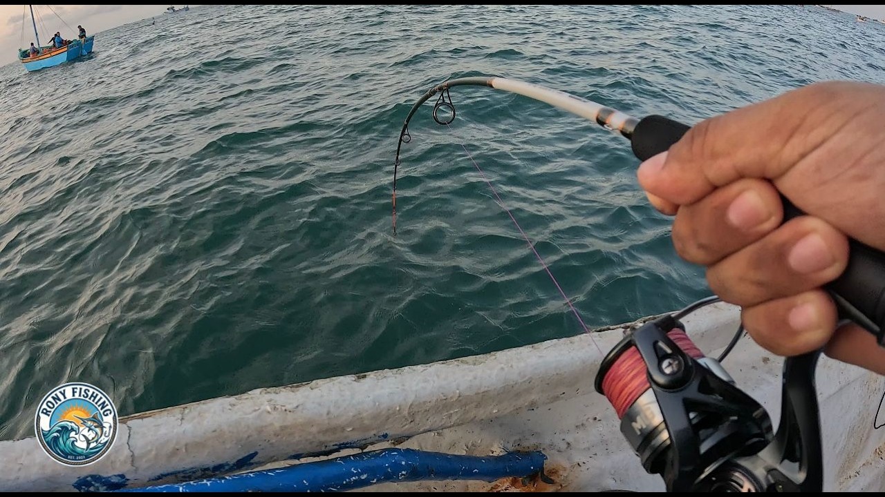 Pesca de Cabrillas en el norte del Perú.